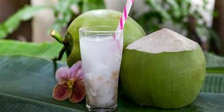 Es Kelapa Muda Recipe Indonesian Ingredients