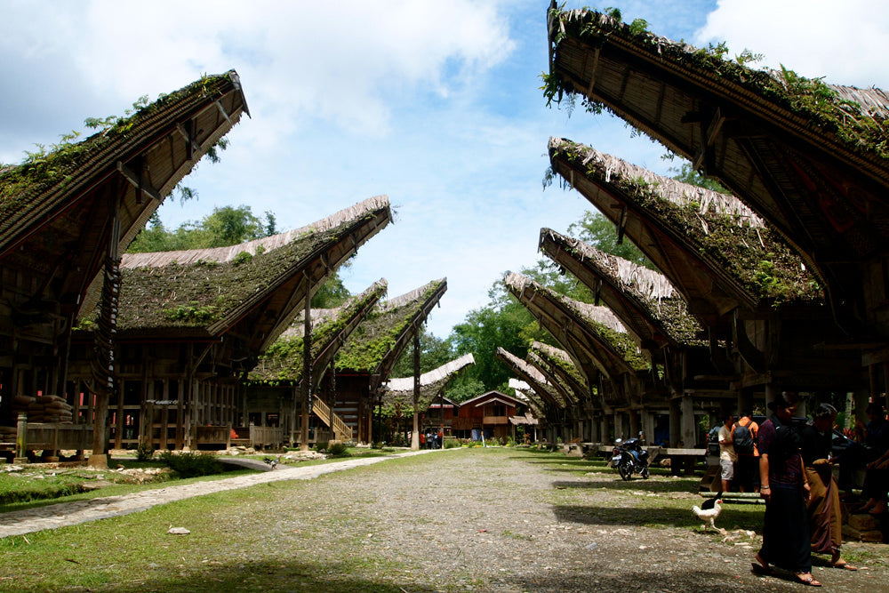 Torajaland, Indonesian Travel Guide
